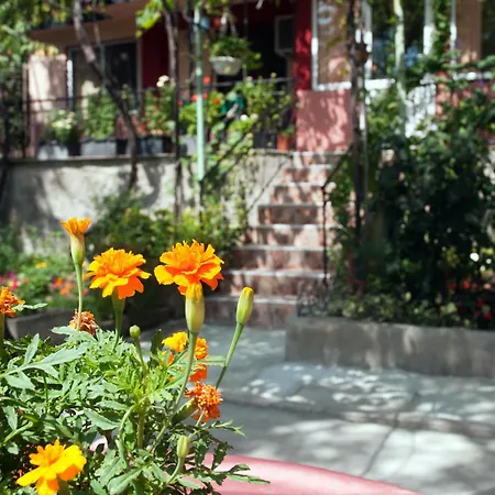 New Worker - Wo Za Diman Pensjonat