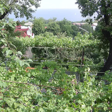 за гости жана Πανσιόν