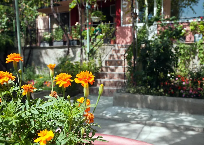 New Worker - Wo Za Diman Maison d'hôtes