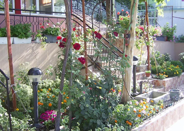 New Worker - Wo Za Diman 2* Varna